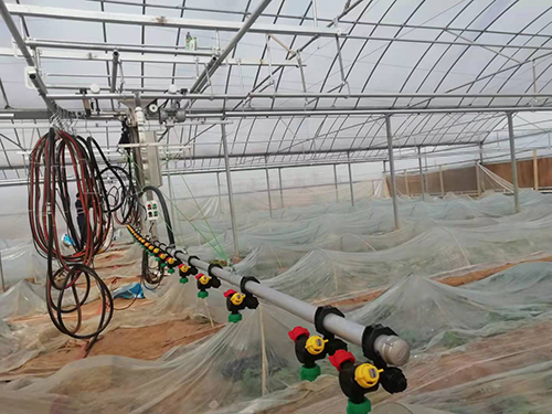 如何防 治溫室育苗的常見病害？